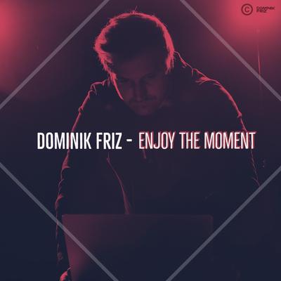 Enjoy the Moment By Dominik Friz's cover