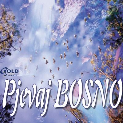 Pjevaj Bosno's cover