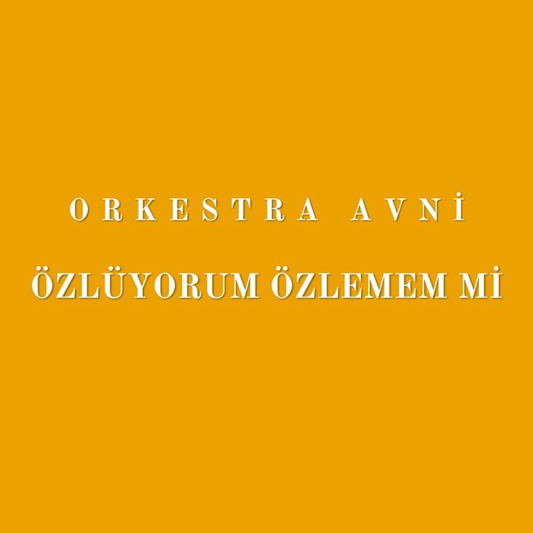 Orkestra Avni's avatar image