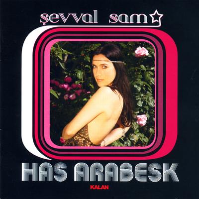 Has Arabesk's cover