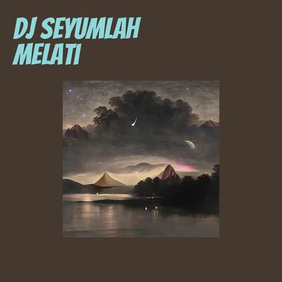 Dj Seyumlah Melati's cover