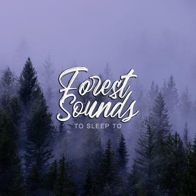 Forest Tour By Zen Master's cover