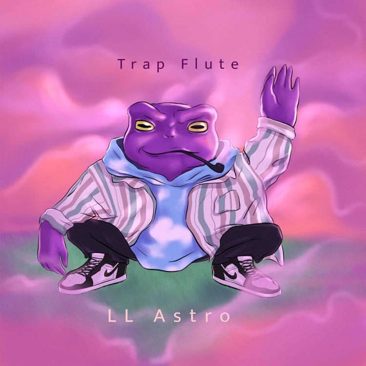 LL Astro's avatar image