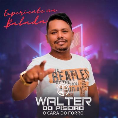 Experiente na Balada By Walter do Piseiro's cover