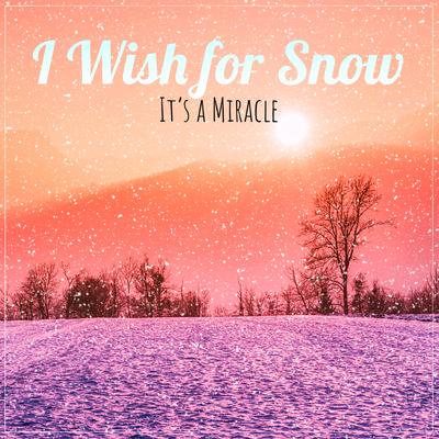 Snow globe wonderland By It’s a Miracle, Instrumental Christmas's cover