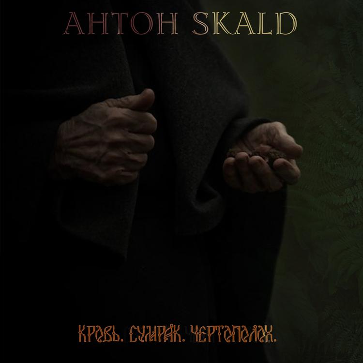 AHTOH SKALD's avatar image