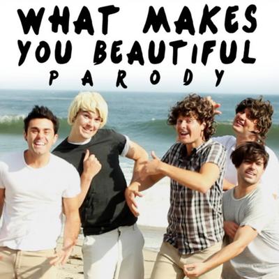 What Makes You Beautiful Parody By Bart Baker's cover