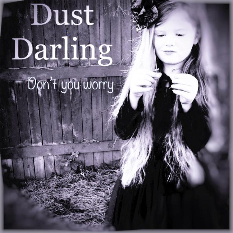 Dust Darling's avatar image