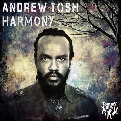 Harmony (Main Mix) By Andrew Tosh, Ky-Mani Marley's cover