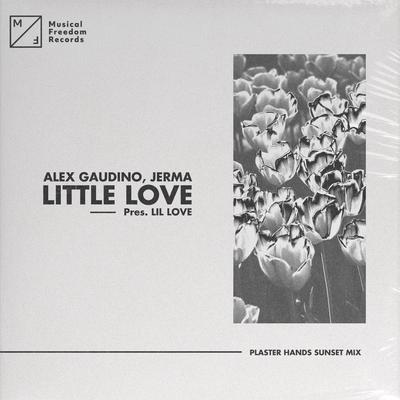 Little Love (pres. Lil' Love) [Plaster Hands Sunset Mix] By Alex Gaudino, Jerma, Plaster Hands's cover