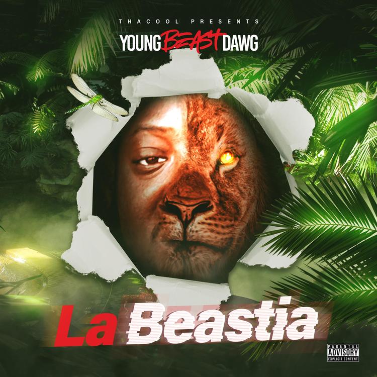 YoungBeastDawg's avatar image