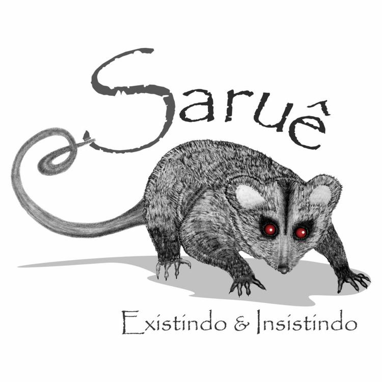 Saruê's avatar image