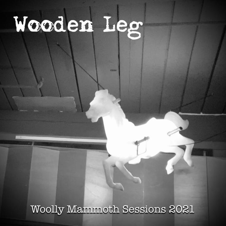 Wooden Leg's avatar image