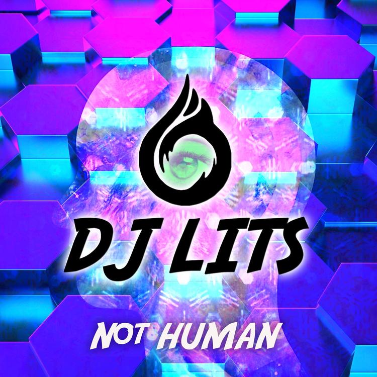 DJ Lits's avatar image