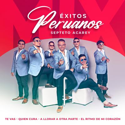 Mix Exitos Peruanos: ( Te Vas / Quien Cura / A Llorar a Otra Parte / El Ritmo De Mi Corazón)'s cover