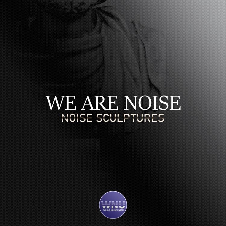 We Are Noise's avatar image