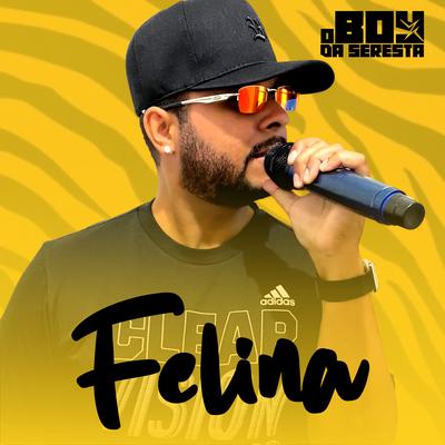Felina By O Boy da Seresta's cover