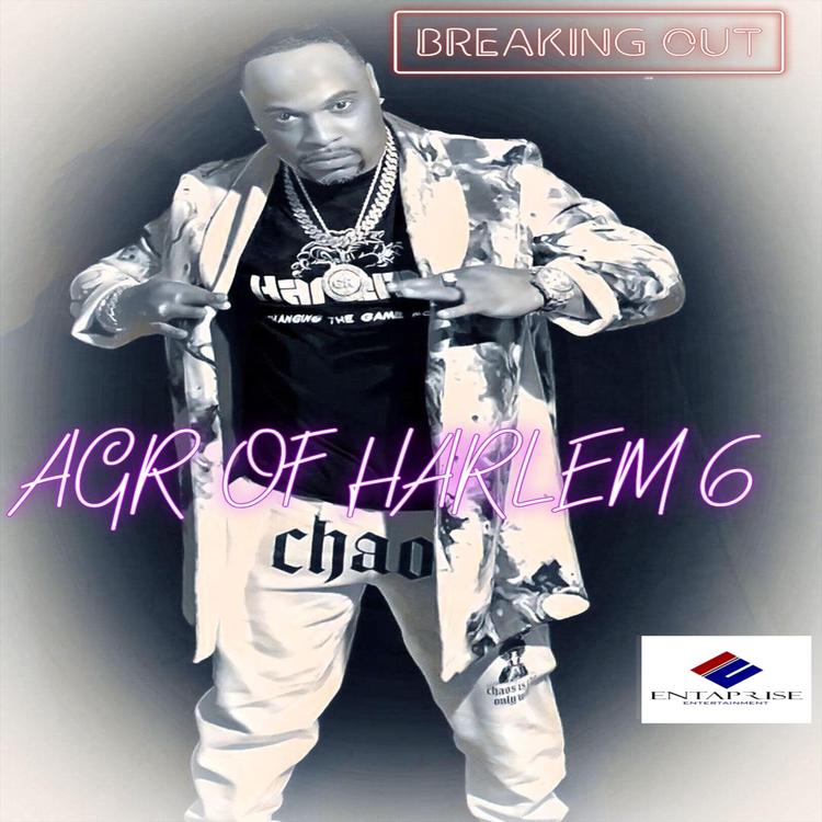 AGR Of Harlem 6's avatar image