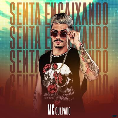 Senta Encaixando By MC Culpado's cover