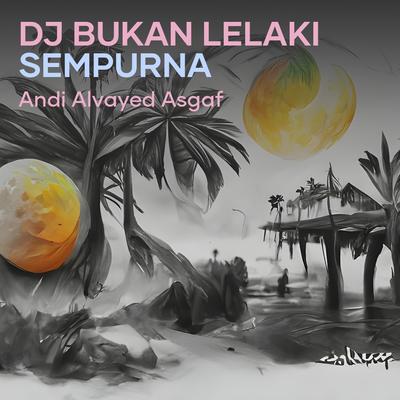 Dj Bukan Lelaki Sempurna's cover