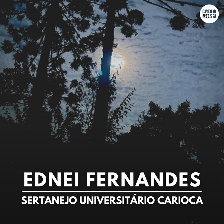 Ednei Fernandes's avatar image