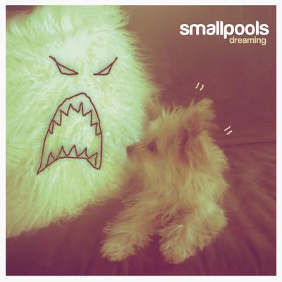 Dreaming By Smallpools's cover