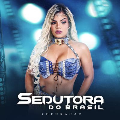 Faltou Coragem By Banda Sedutora do Brasil's cover