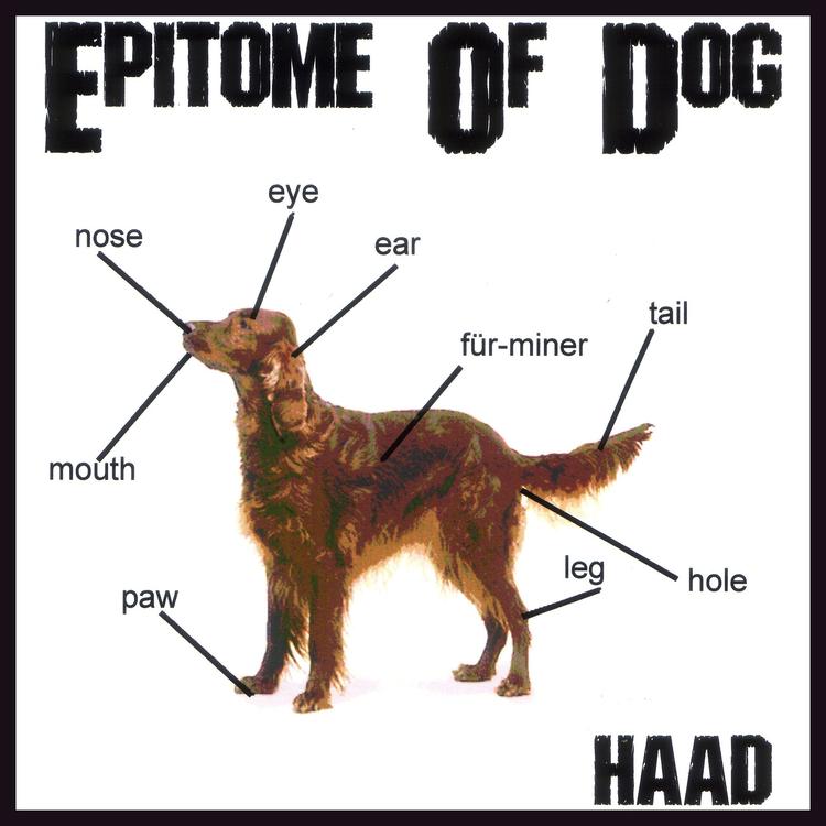Epitome Of Dog's avatar image