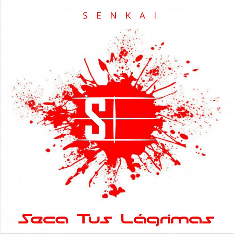 SENKAI's avatar image