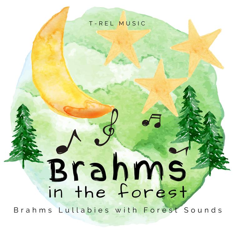 Babies Love Brahms's avatar image