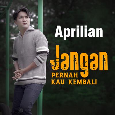 Jangan Pernah Kau Kembali's cover