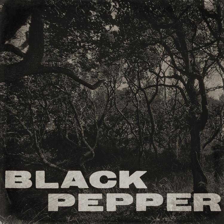 Black Pepper's avatar image