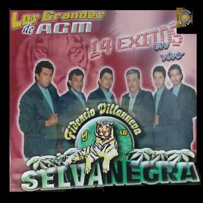 Los Grandes De Agm 14 Exitos En Vivo's cover