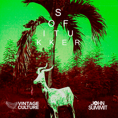 Drinkee (Vintage Culture & John Summit Remix) By Sofi Tukker, Vintage Culture, John Summit's cover