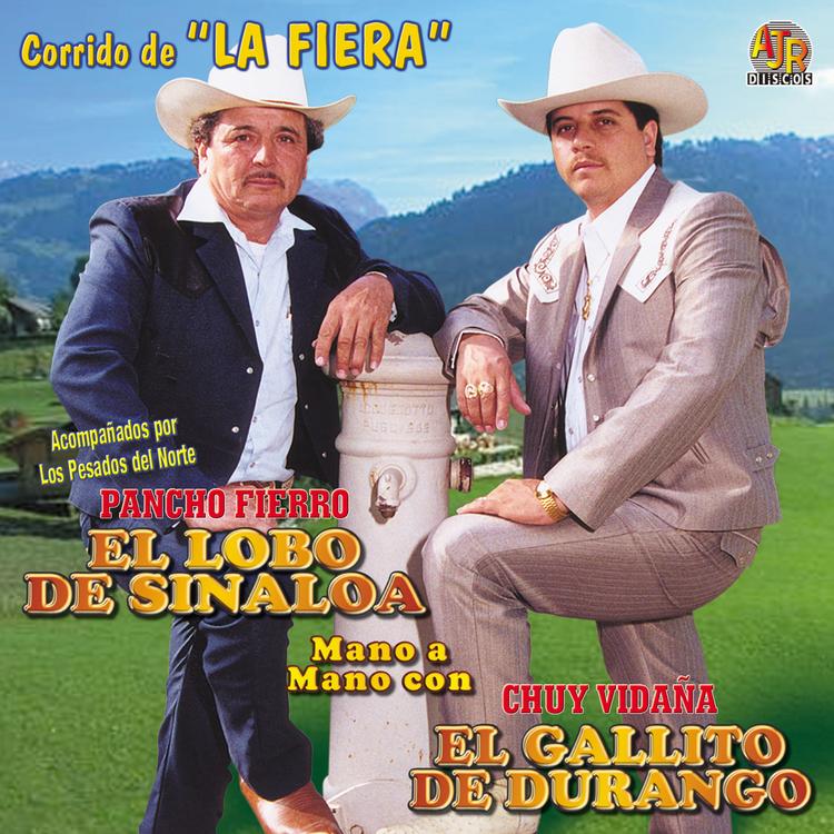 El Gallito De Durango's avatar image