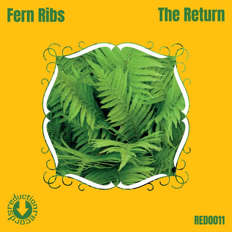 Fern Ribs's avatar image