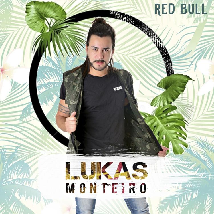 LUKAS MONTEIRO's avatar image