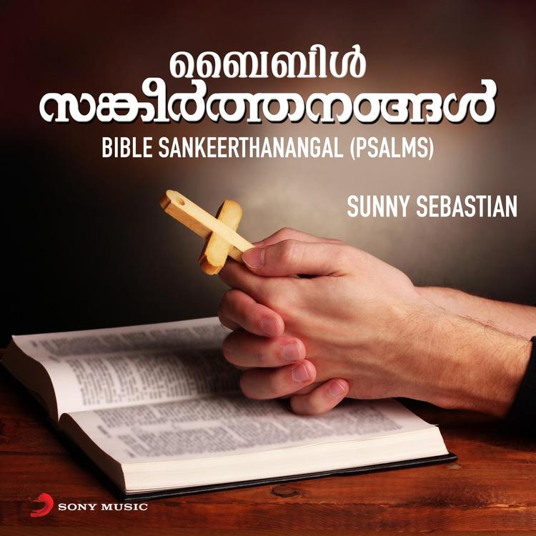 Sunny Sebastian's avatar image