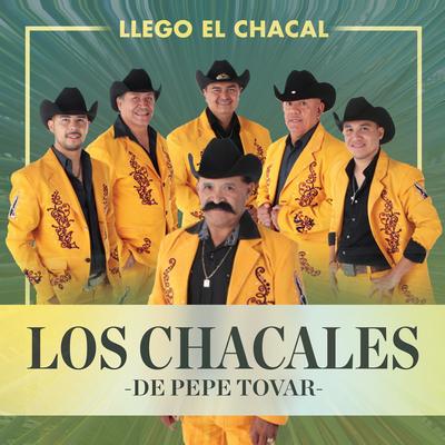 Los Chacales de Pepe Tovar's cover