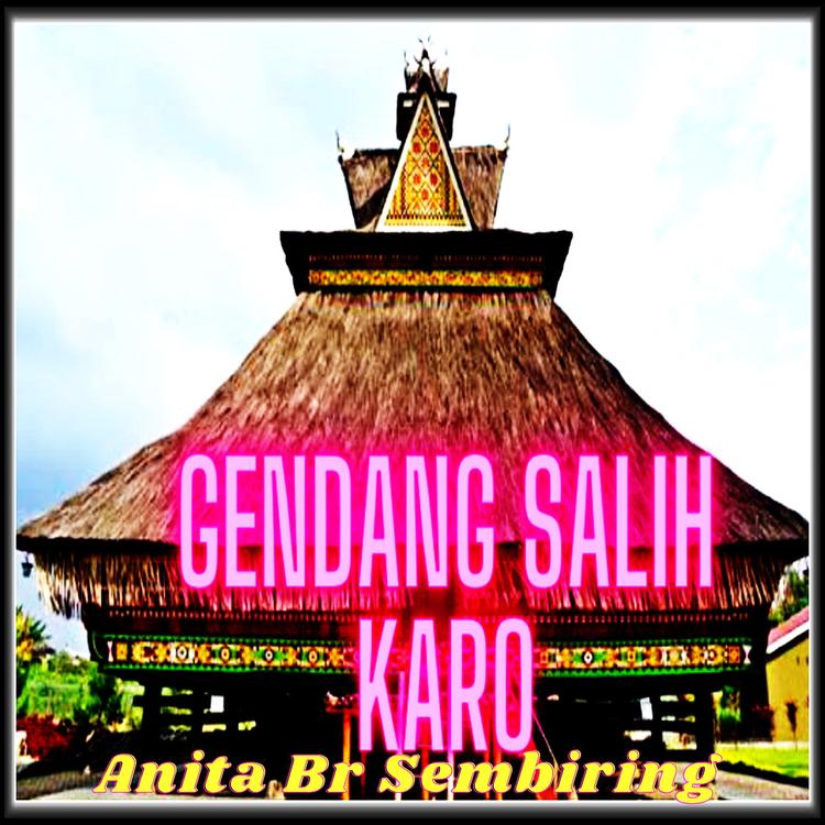 Anita Br Sembiring's avatar image