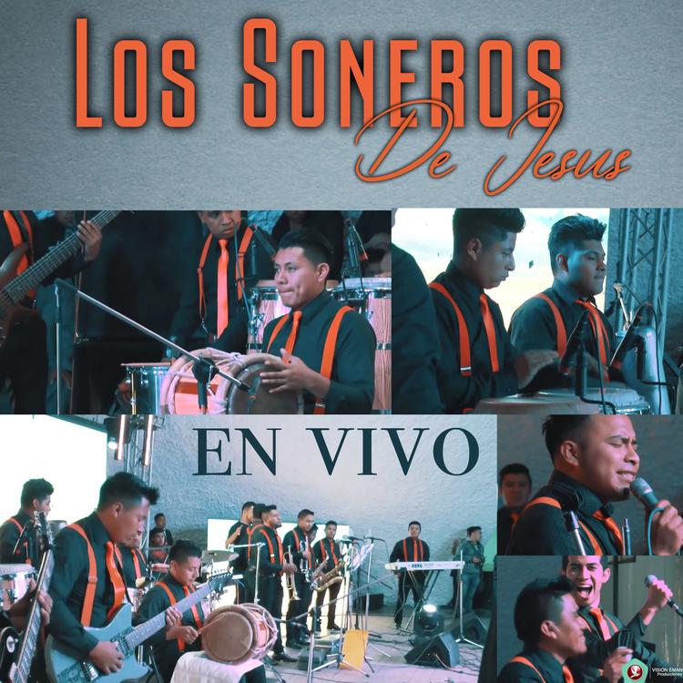 Los Soneros De Jesus's avatar image