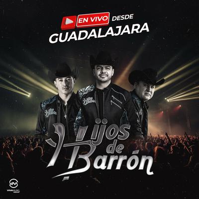 Desde Guadalajara (En Vivo)'s cover