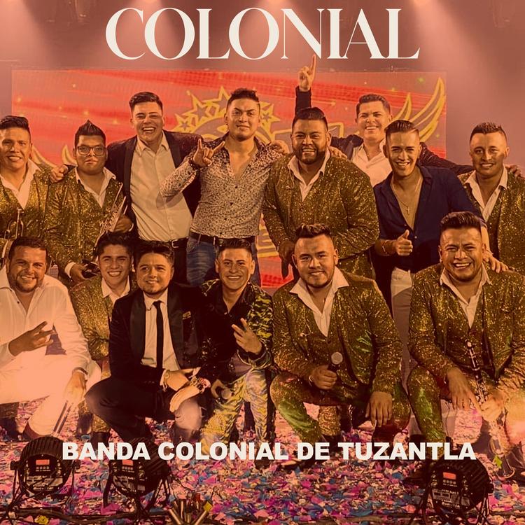 Banda Colonial de Tuzantla's avatar image