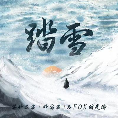 踏雪 (DJ沈念版)'s cover