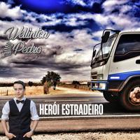 Wellinton Pedro's avatar cover