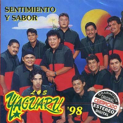 Descarga Sonidera By Los Yaguarú's cover