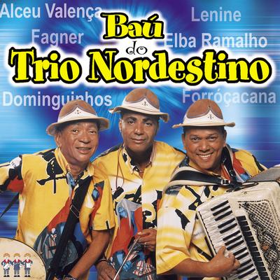 Forró pesado By Trio Nordestino's cover