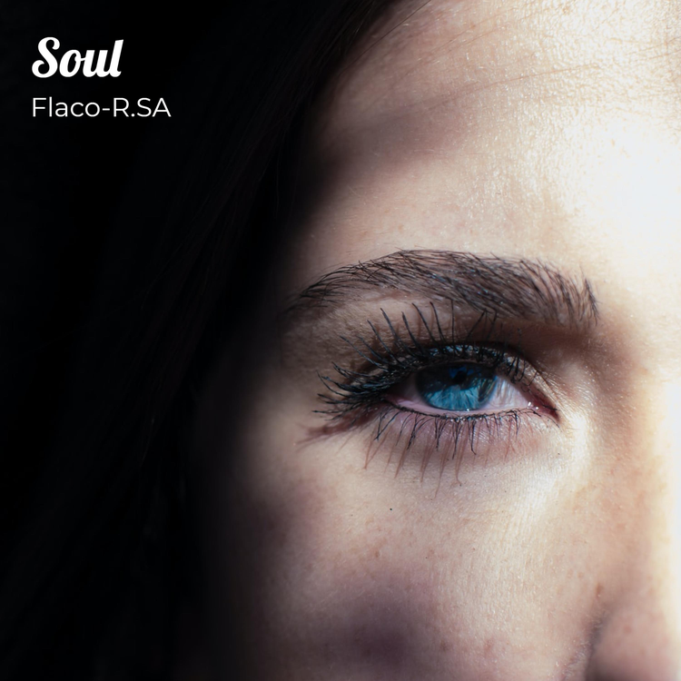 FLACO-R.SA's avatar image