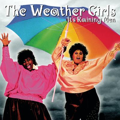 It's Raining Men (Single Version)'s cover