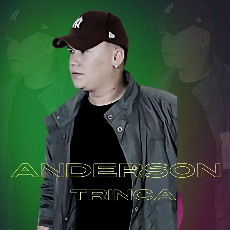 ANDERSON TRINCA's avatar image